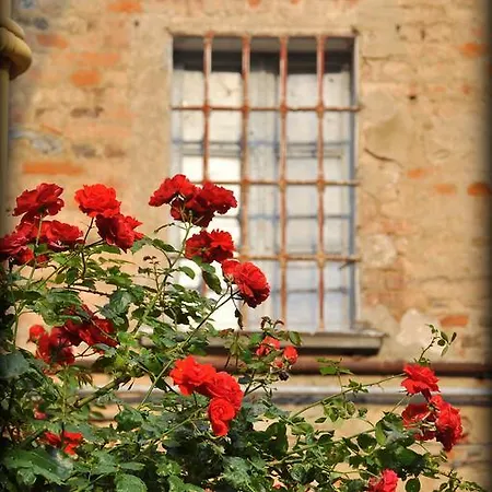 شقة فندقية La Pera Bugiarda فيناريا ريالي